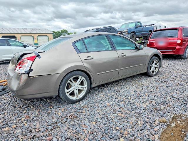 Продажа на аукционе авто 2006 Nissan Maxima, vin: 1N4BA41EX6C833423, номер лота: 54246346