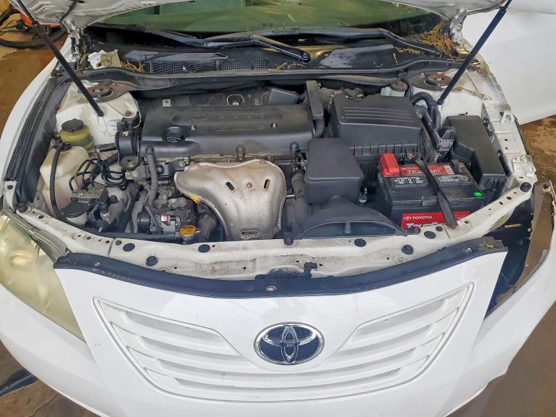 54436756 :رقم المزاد ، 4T1BE46K49U919639 vin ، 2009 Toyota Camry مزاد بيع