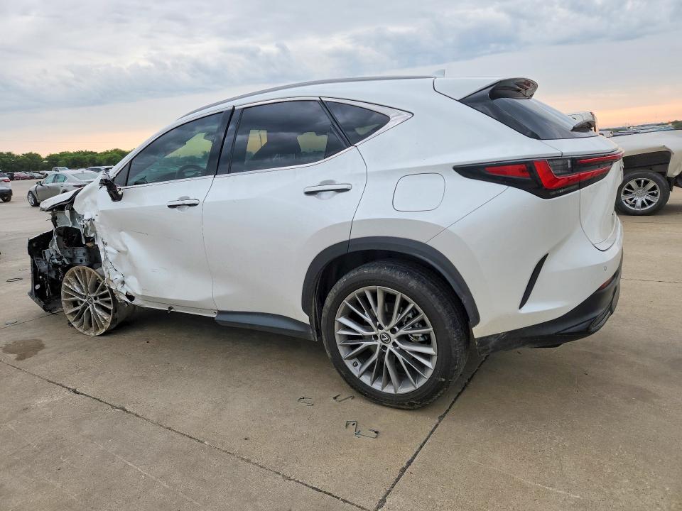 54299026 :رقم المزاد ، 2T2GKCEZ7PC010652 vin ، 2023 Lexus Nx مزاد بيع