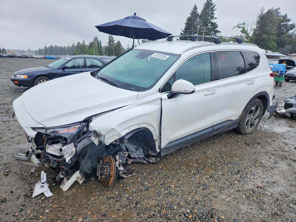Продажа на аукционе авто 2023 Hyundai Santa Fe, vin: 5NMS2DAJ6PH486521, номер лота: 53556256