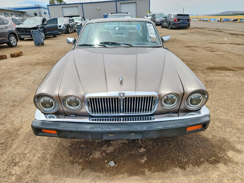 55175716 :رقم المزاد ، SAJAY1341GC442023 vin ، 1986 Jaguar Xj6 مزاد بيع