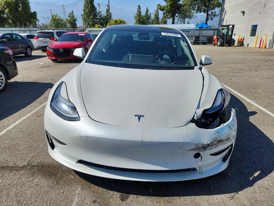 53645286 :رقم المزاد ، 5YJ3E1EA4PF561836 vin ، 2023 Tesla Model 3 مزاد بيع
