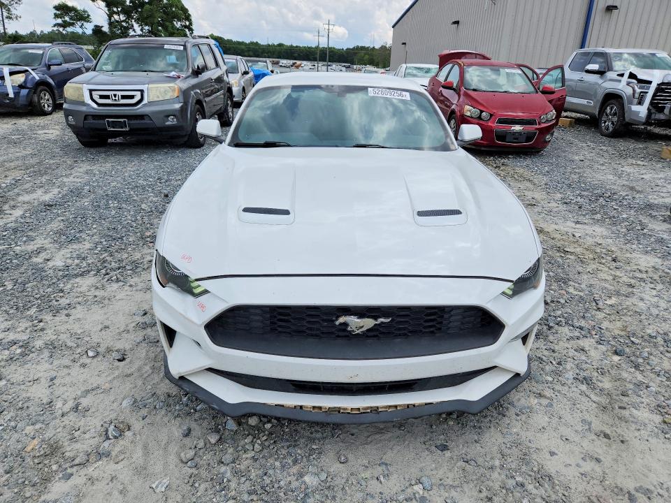 52809256 :رقم المزاد ، 1FA6P8TH5K5184532 vin ، 2019 Ford Mustang مزاد بيع