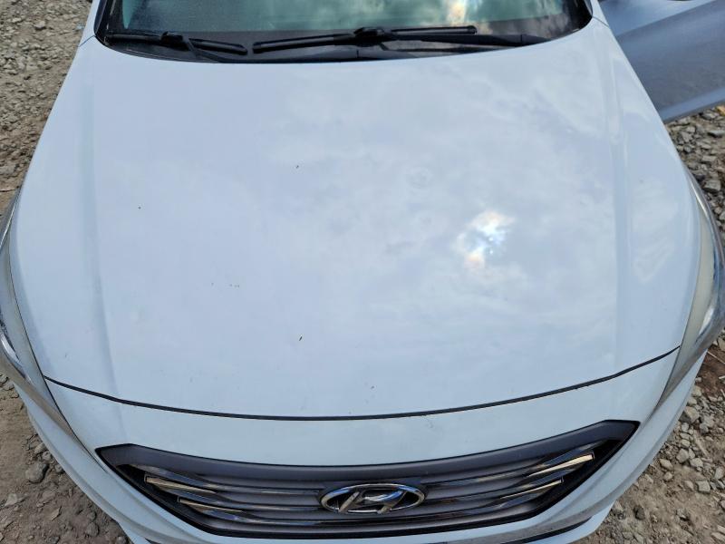 2015 Hyundai Sonata მანქანა იყიდება აუქციონზე, vin: 5NPE34AF3FH149683, აუქციონის ნომერი: 53569586