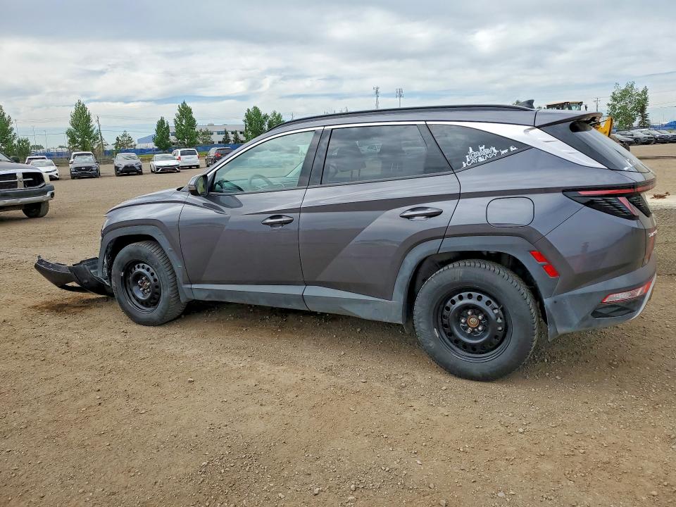 55114736 :رقم المزاد ، KM8JCCD17RU195788 vin ، 2024 Hyundai Tucson مزاد بيع