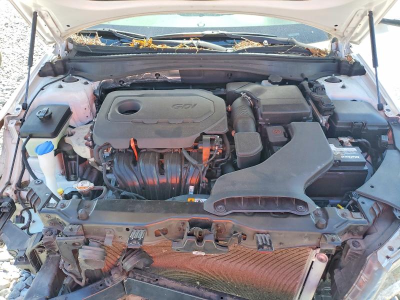Aukcja sprzedaży 2016 Kia Optima, vin: 5XXGT4L3XGG053798, numer aukcji: 53424406