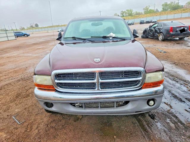 Продаж на аукціоні авто 2004 Dodge Dakota, vin: 1D7HG48NX4S556273, номер лоту: 52584136