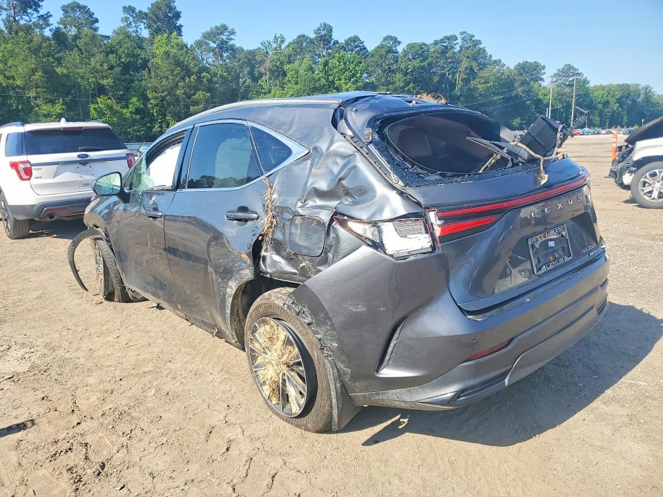 53140836 :رقم المزاد ، 2T2GGCEZXNC009896 vin ، 2022 Lexus Nx مزاد بيع