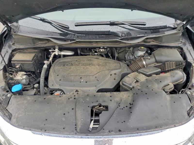 53807406 :رقم المزاد ، 5FNRL6H95PB050943 vin ، 2023 Honda Odyssey مزاد بيع