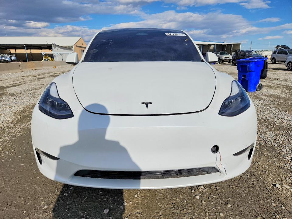 Aukcja sprzedaży 2023 Tesla Model Y, vin: 7SAYGDEF3PF784126, numer aukcji: 51778116