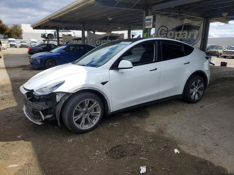Продажа на аукционе авто 2022 Tesla Model Y, vin: 7SAYGDEE9NF491514, номер лота: 55559746
