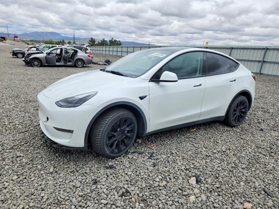 Продажа на аукционе авто 2023 Tesla Model Y, vin: 7SAYGDEE2PF895726, номер лота: 54882266