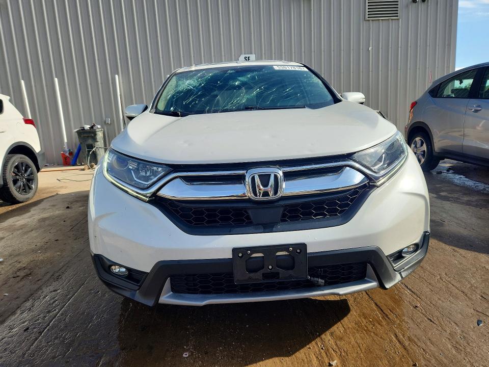 53017816 :رقم المزاد ، 5J6RW1H83KA041509 vin ، 2019 Honda Cr-v مزاد بيع