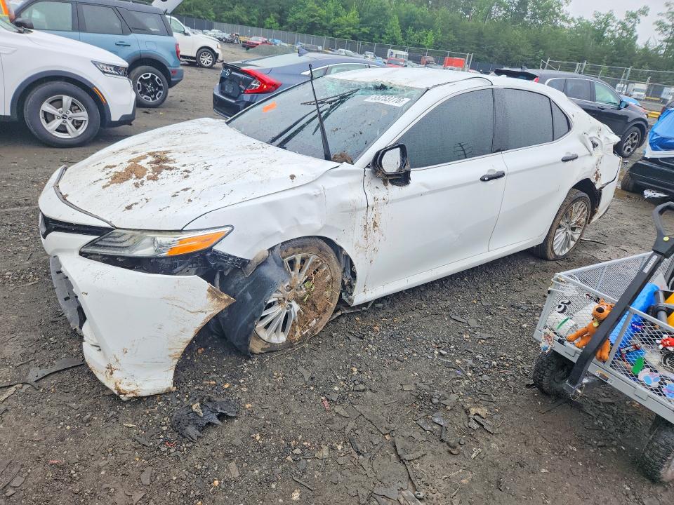 55253776 :رقم المزاد ، 4T1B11HK9KU767791 vin ، 2019 Toyota Camry مزاد بيع