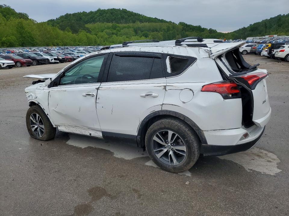 Продаж на аукціоні авто 2016 Toyota Rav4, vin: 2T3RFREV3GW535649, номер лоту: 53423536