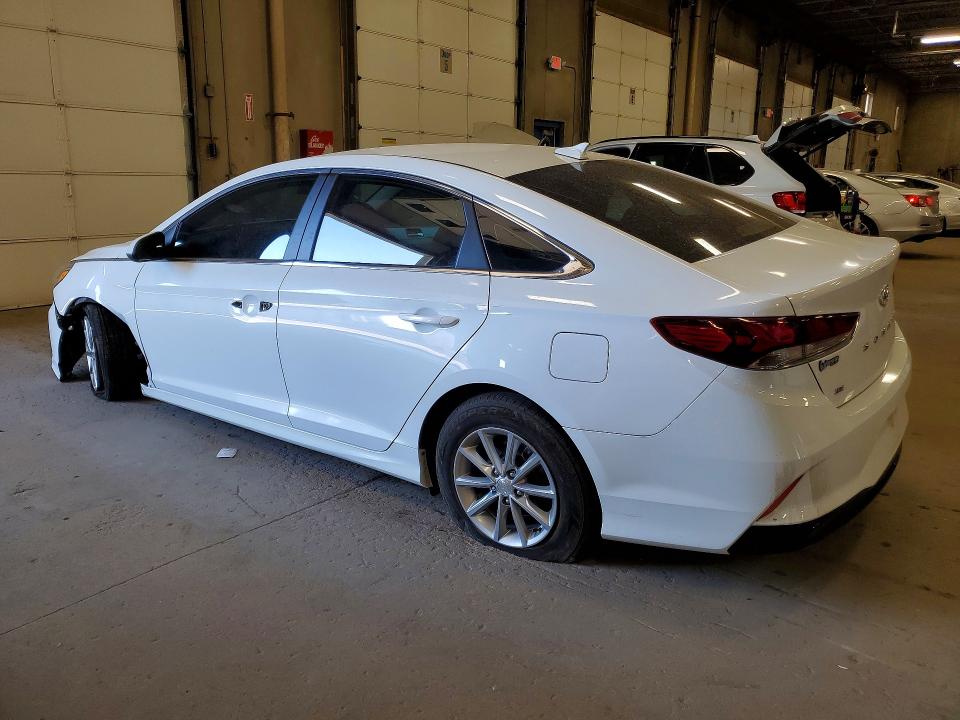 53272186 :رقم المزاد ، 5NPE24AF5KH759596 vin ، 2019 Hyundai Sonata مزاد بيع
