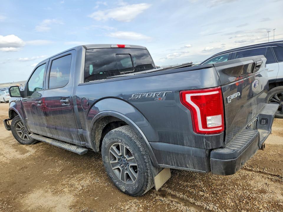 2016 Ford F150 მანქანა იყიდება აუქციონზე, vin: 1FTEW1EP8GFB05571, აუქციონის ნომერი: 51124476