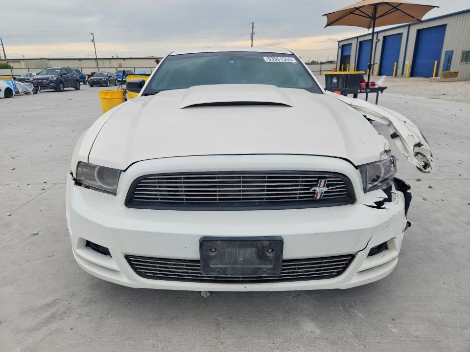 Продаж на аукціоні авто 2013 Ford Mustang, vin: 1ZVBP8AM2D5231797, номер лоту: 53961566