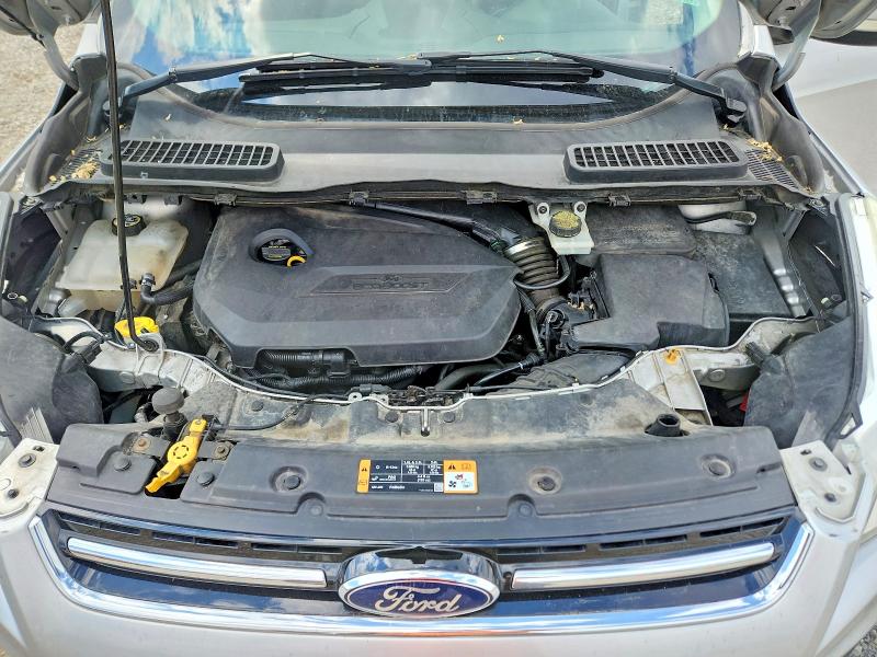 Продаж на аукціоні авто 2014 Ford Escape, vin: 1FMCU0JX4EUE38061, номер лоту: 53697366