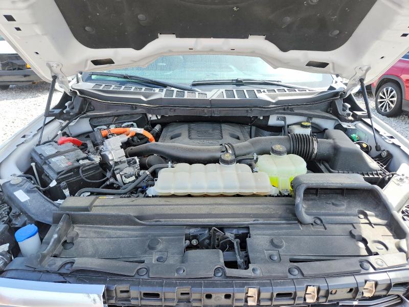 Aukcja sprzedaży 2023 Ford F150, vin: 1FTFW1ED6PFB49191, numer aukcji: 51599466