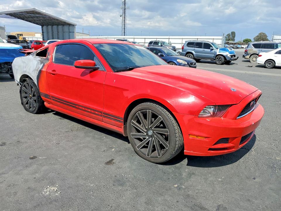 55222666 :رقم المزاد ، 1ZVBP8AM0D5242118 vin ، 2013 Ford Mustang مزاد بيع