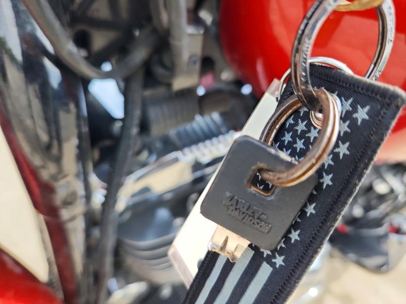 2014 Harley Davidson Xl1200 მანქანა იყიდება აუქციონზე, vin: 1HD1CT310EC433856, აუქციონის ნომერი: 53749856
