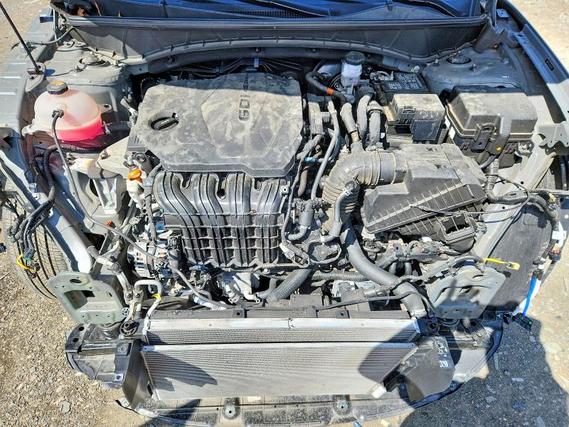 Продажа на аукционе авто 2024 Hyundai Tucson, vin: 5NMJFCDEXRH309224, номер лота: 55343626