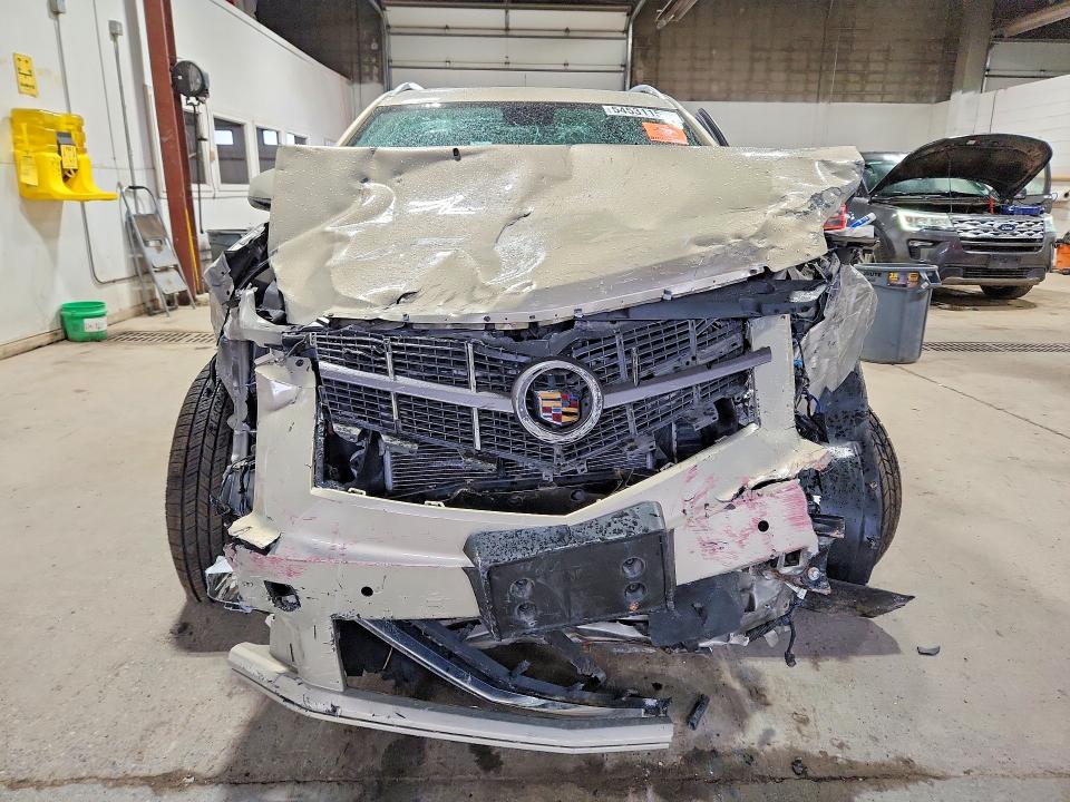 Продажа на аукционе авто 2011 Cadillac Srx, vin: 3GYFNDEYXBS648159, номер лота: 54531156