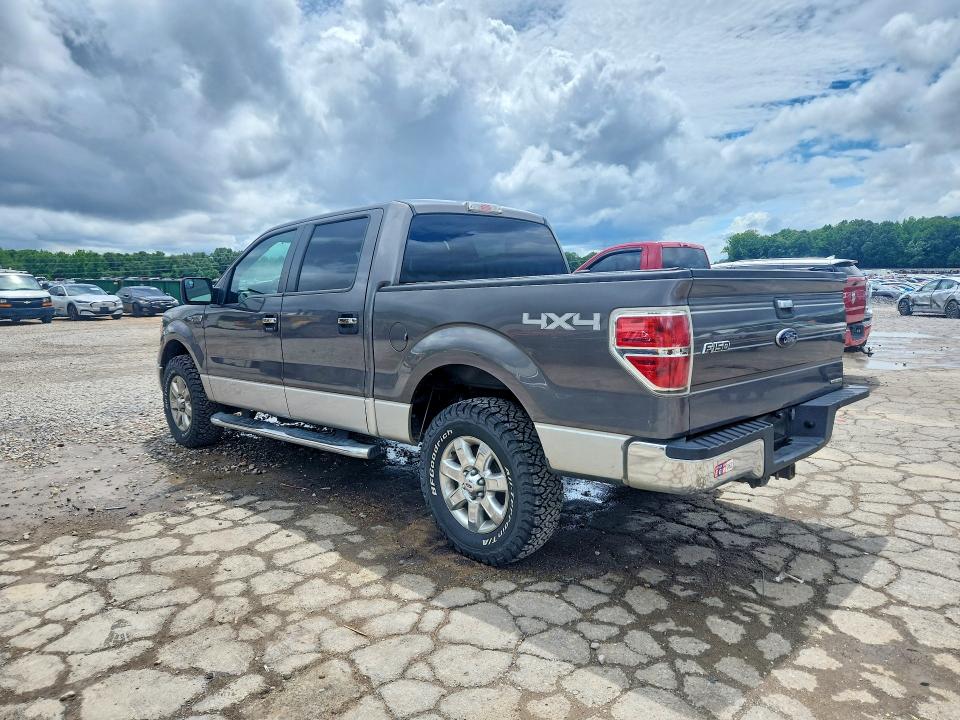 54095496 :رقم المزاد ، 1FTFW1EF2DFC32906 vin ، 2013 Ford F150 مزاد بيع