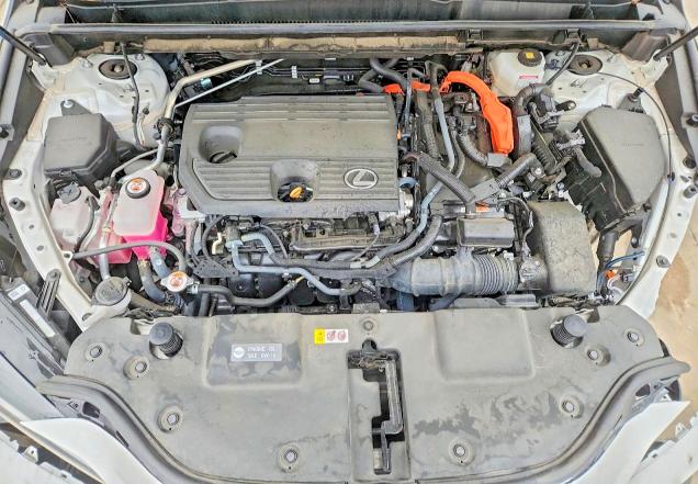 54299026 :رقم المزاد ، 2T2GKCEZ7PC010652 vin ، 2023 Lexus Nx مزاد بيع