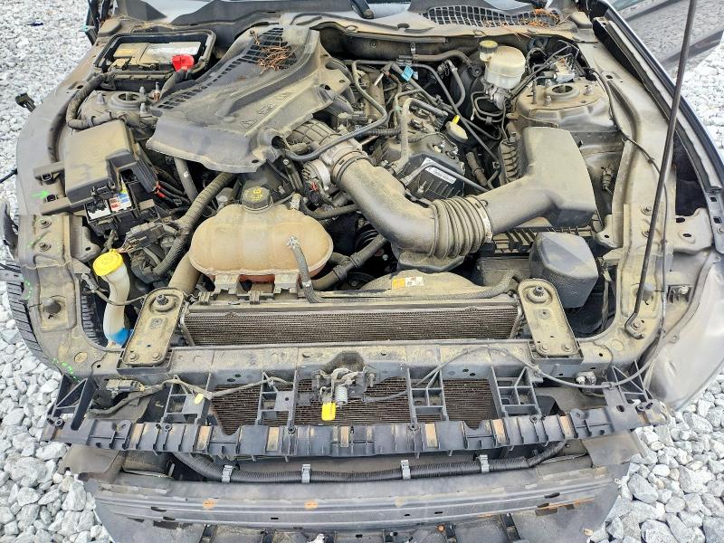 Продаж на аукціоні авто 2017 Ford Mustang, vin: 1FA6P8AM5H5244155, номер лоту: 55505576