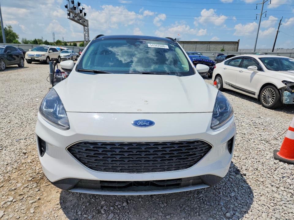 Продаж на аукціоні авто 2020 Ford Escape, vin: 1FMCU0G69LUB29522, номер лоту: 54382686