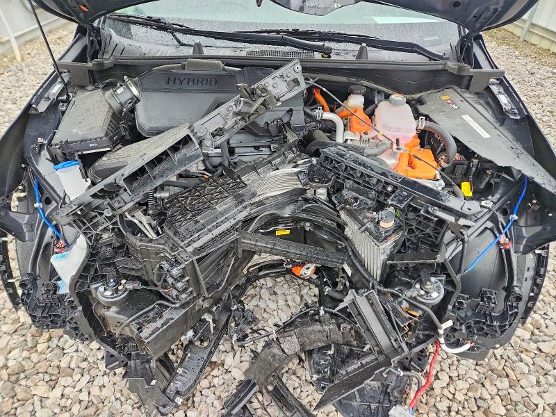52055706 :رقم المزاد ، KNDPU3DG7T7317717 vin ، 2026 Kia Sportage مزاد بيع