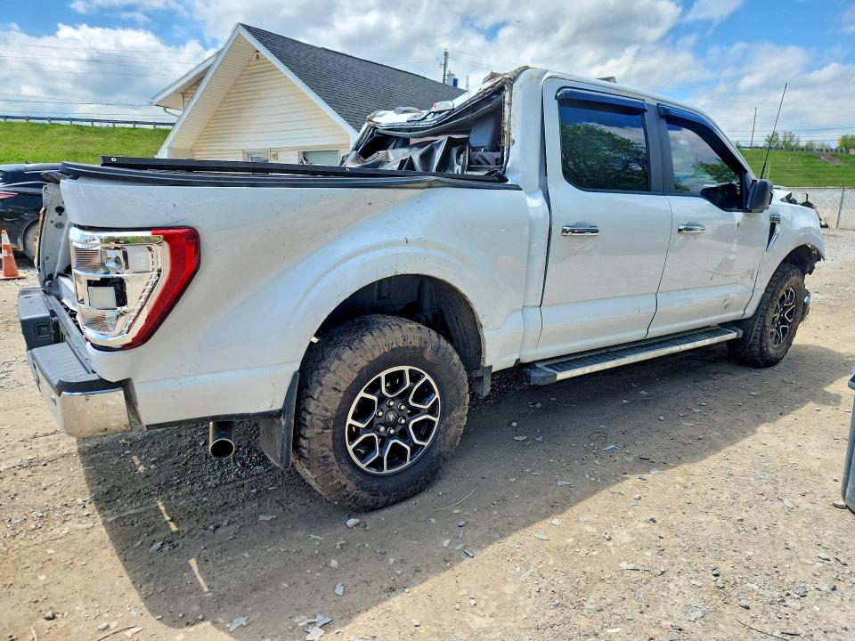 Продаж на аукціоні авто 2023 Ford F150, vin: 1FTEW1EP4PFA22820, номер лоту: 51918886