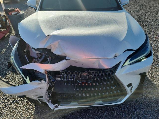 Продаж на аукціоні авто 2023 Lexus Nx, vin: JTJGDCAZXP5010322, номер лоту: 54172376