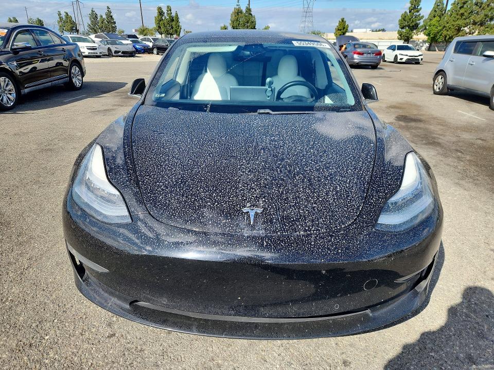 55349506 :رقم المزاد ، 5YJ3E1EA2LF744095 vin ، 2020 Tesla Model 3 مزاد بيع