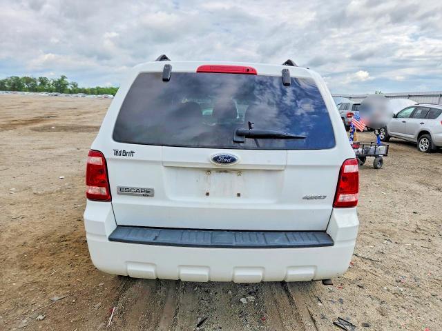 Продаж на аукціоні авто 2009 Ford Escape, vin: 1FMCU93G49KA86196, номер лоту: 53319716