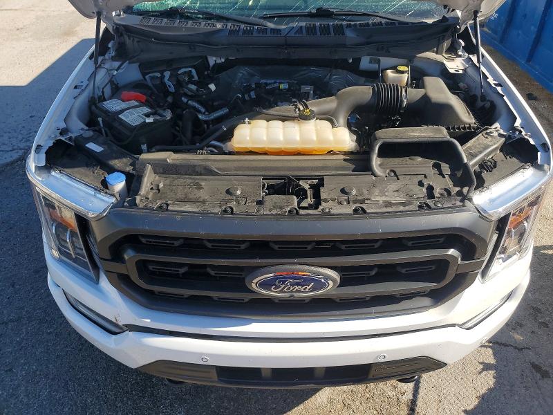 52481756 :رقم المزاد ، 1FTEW1EP1MFC25448 vin ، 2021 Ford F150 مزاد بيع