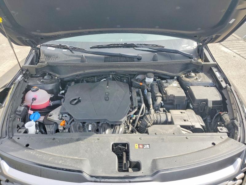 Aukcja sprzedaży 2026 Kia Sportage, vin: 5XYK2CDF2TG387118, numer aukcji: 54559196