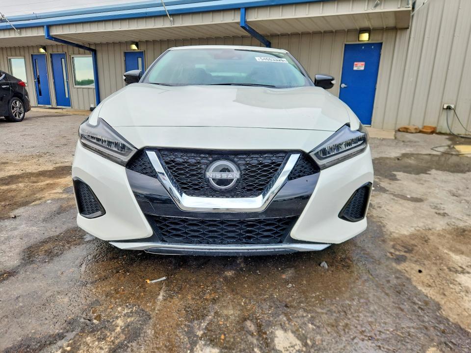54663326 :رقم المزاد ، 1N4AA6CV9PC509112 vin ، 2023 Nissan Maxima مزاد بيع