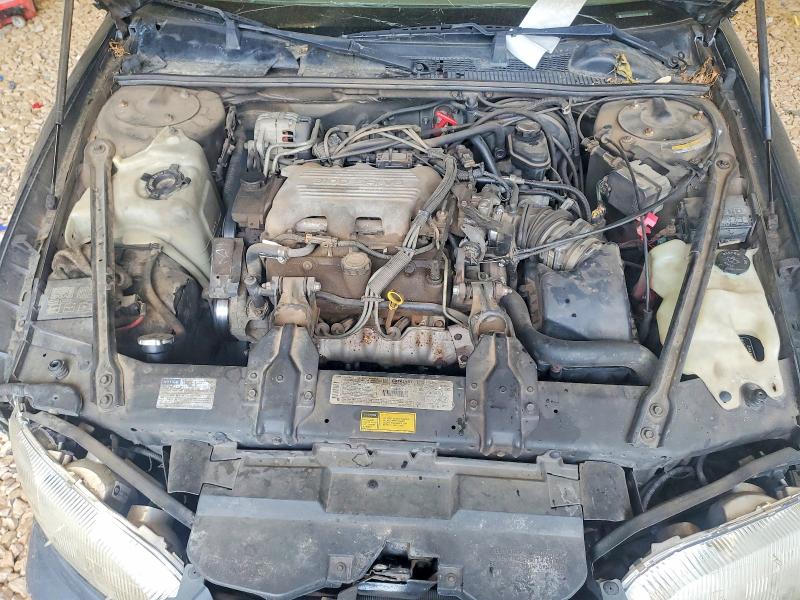 52671076 :رقم المزاد ، 2G1WL52M9T9123166 vin ، 1996 Chevrolet Alumina مزاد بيع