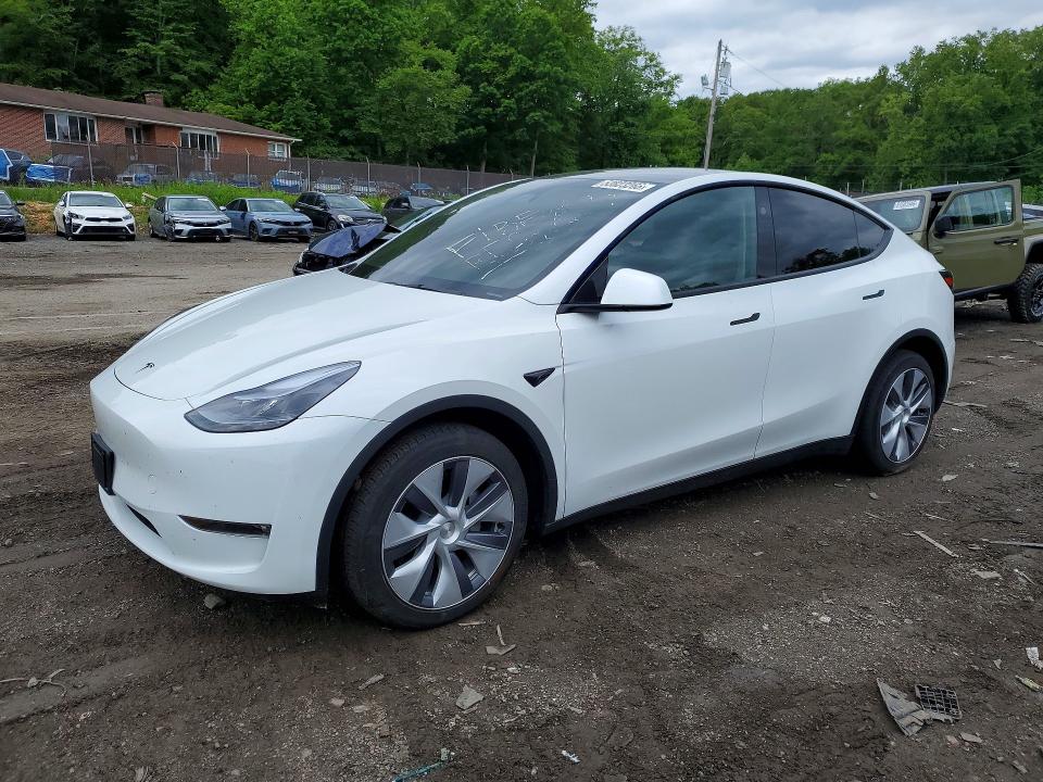 Продажа на аукционе авто 2024 Tesla Model Y, vin: 7SAYGDEE3RF083936, номер лота: 53823266