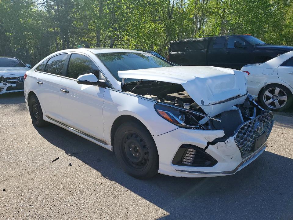 Продаж на аукціоні авто 2019 Hyundai Sonata, vin: 5NPE34AF7KH803921, номер лоту: 53109876