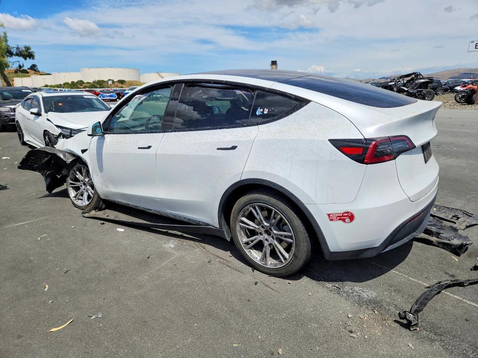 Продаж на аукціоні авто 2023 Tesla Model Y, vin: 7SAYGDEE0PA083337, номер лоту: 54985296