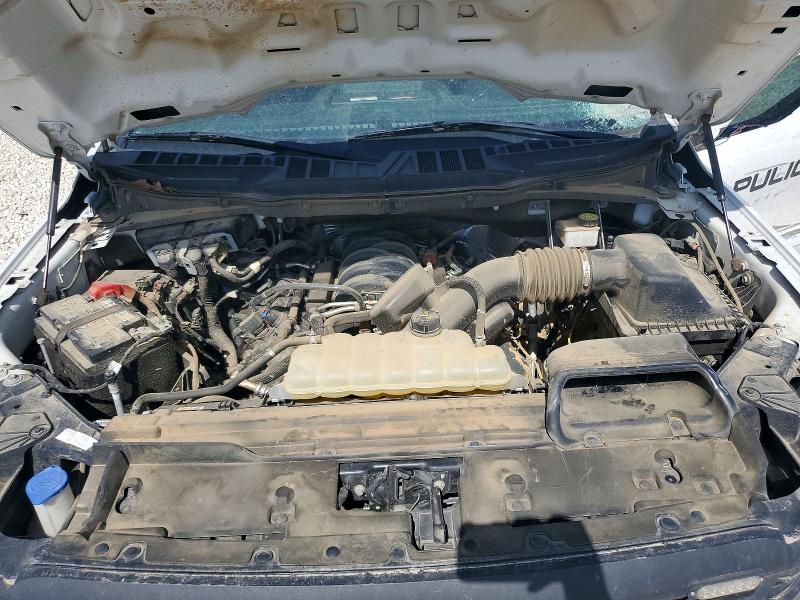 Продаж на аукціоні авто 2024 Ford F150, vin: 1FTFW1L52RKD92244, номер лоту: 53197626