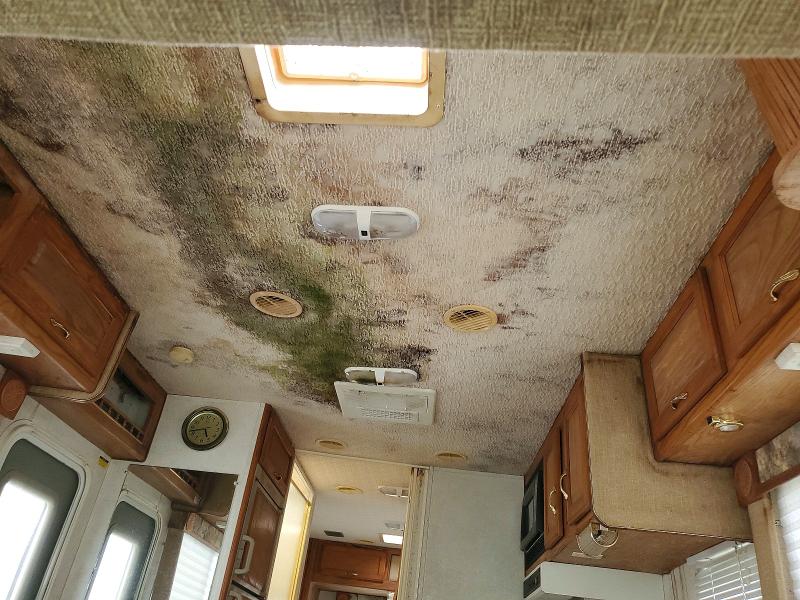 Продаж на аукціоні авто 2003 Gulf Stream Recreational Vehicle (rv), vin: 1FDXE45S23HA77021, номер лоту: 54421776