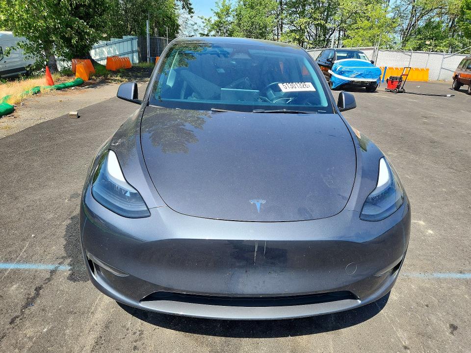 Aukcja sprzedaży 2023 Tesla Model Y, vin: 7SAYGDEF8PF826063, numer aukcji: 51301326