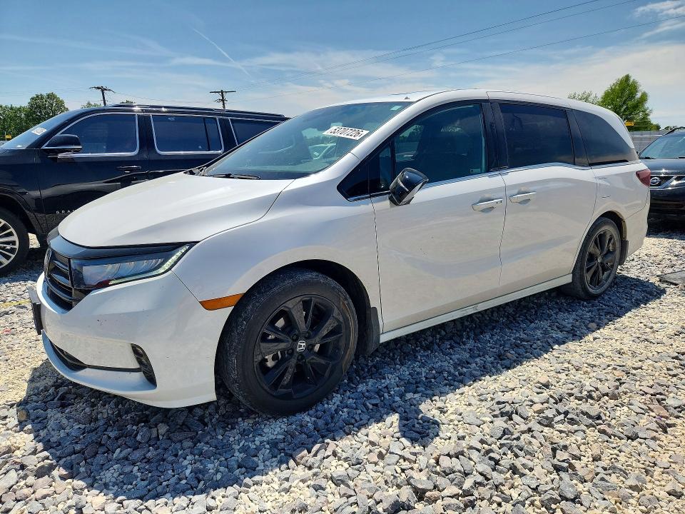 Auction sale of the 2024 Honda Odyssey, vin: 5FNRL6H74RB003050, lot number: 53707226