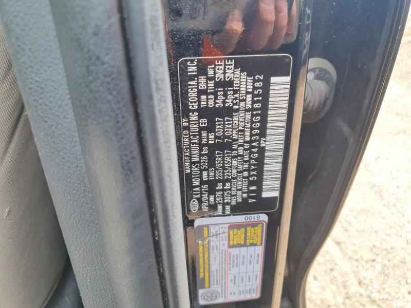 55114946 :رقم المزاد ، 5XYPG4A39GG181582 vin ، 2016 Kia Sorento مزاد بيع