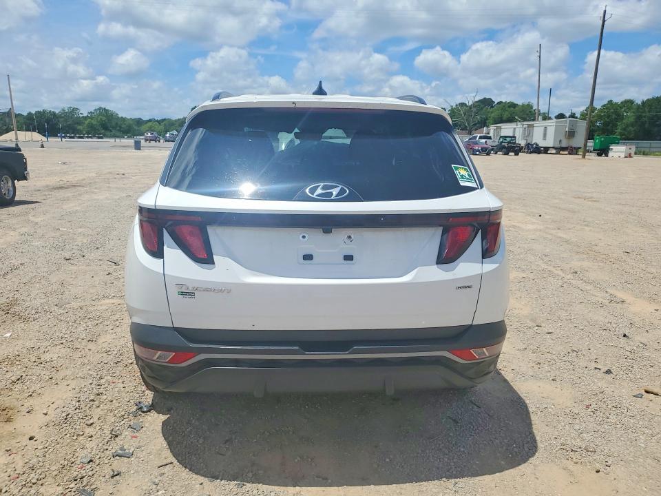 Продаж на аукціоні авто 2024 Hyundai Tucson, vin: 5NMJBCDE9RH296963, номер лоту: 51662226
